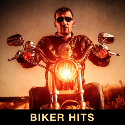 Biker Hits (2021) скачать торрент