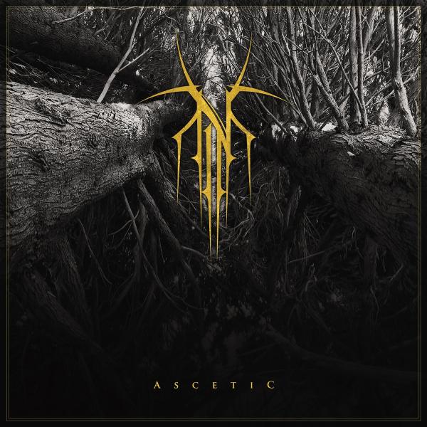 Norse - Ascetic (2021) скачать торрент