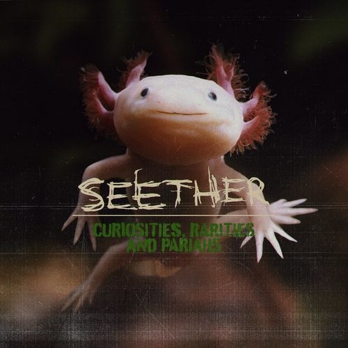 Seether - Curiosities, Rarities And Pariahs (2021) скачать торрент