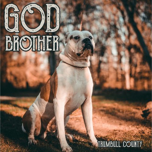 Godbrother - Trumbull County (2021) скачать торрент