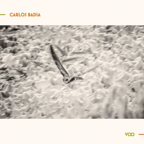 Carlos Badia - Voo (2021)