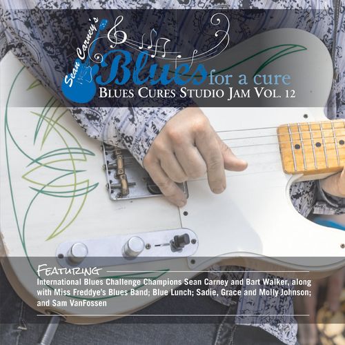 Sean Carney's Blues for a Cure Blues Cures Studio Jam, Vol. 12 (2021) скачать торрент