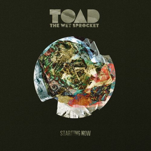 Toad the Wet Sprocket - Starting Now (2021) скачать торрент