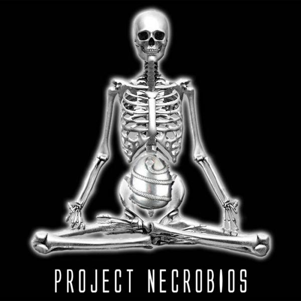 Project Necrobios - Illuminates of Thanateros (2021) скачать торрент