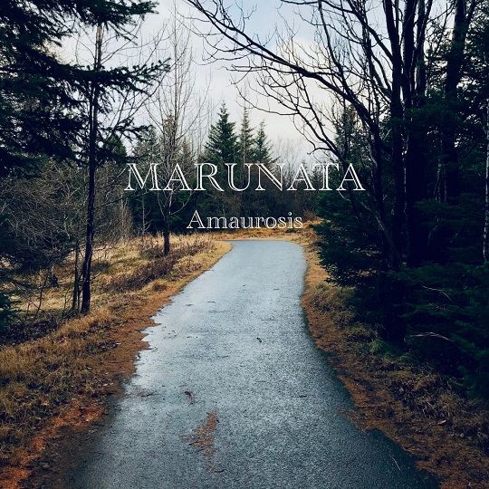 Marunata - Amaurosis (2021) скачать торрент