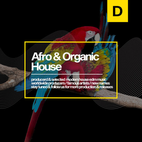VA - Afro & Organic House 2023 (2023) MP3 скачать торрент
