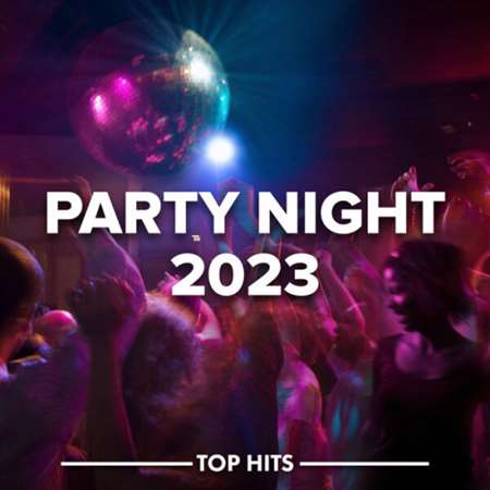 VA - Party Night (2023) MP3 скачать торрент