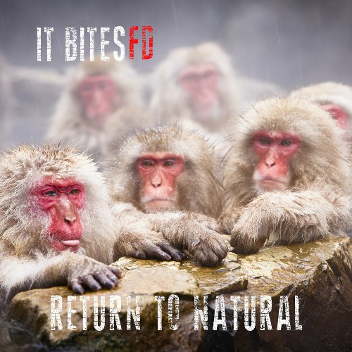 It Bites FD - Return To Natural (2024) MP3 скачать торрент