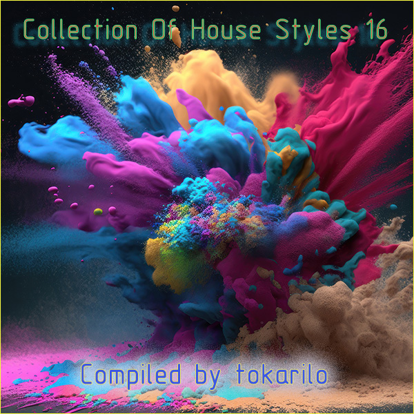 VA - Collection Of House Styles 16 [Compiled by tokarilo] (2024) MP3