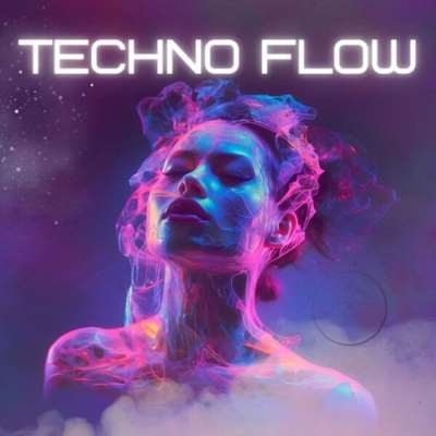 VA - Techno Flow (2024) MP3