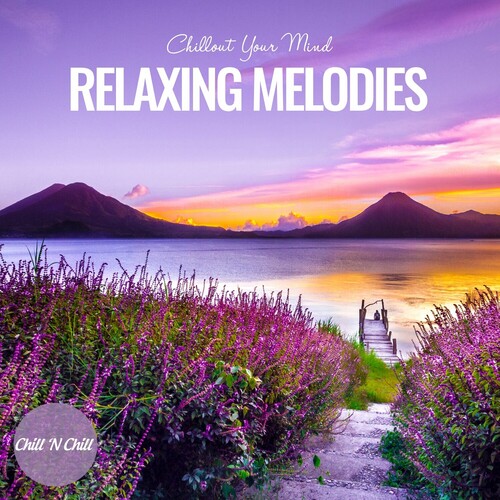 VA - Relaxing Melodies: Chillout Your Mind (2023) MP3