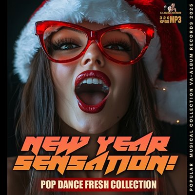 VA - New Year Sensation! (2024) MP3